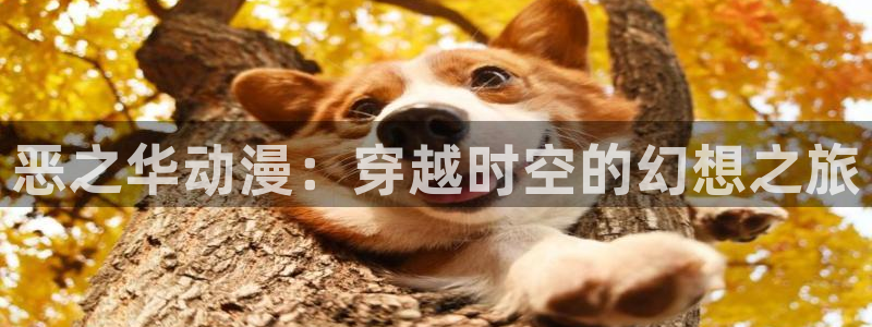 51动漫网免费版入口